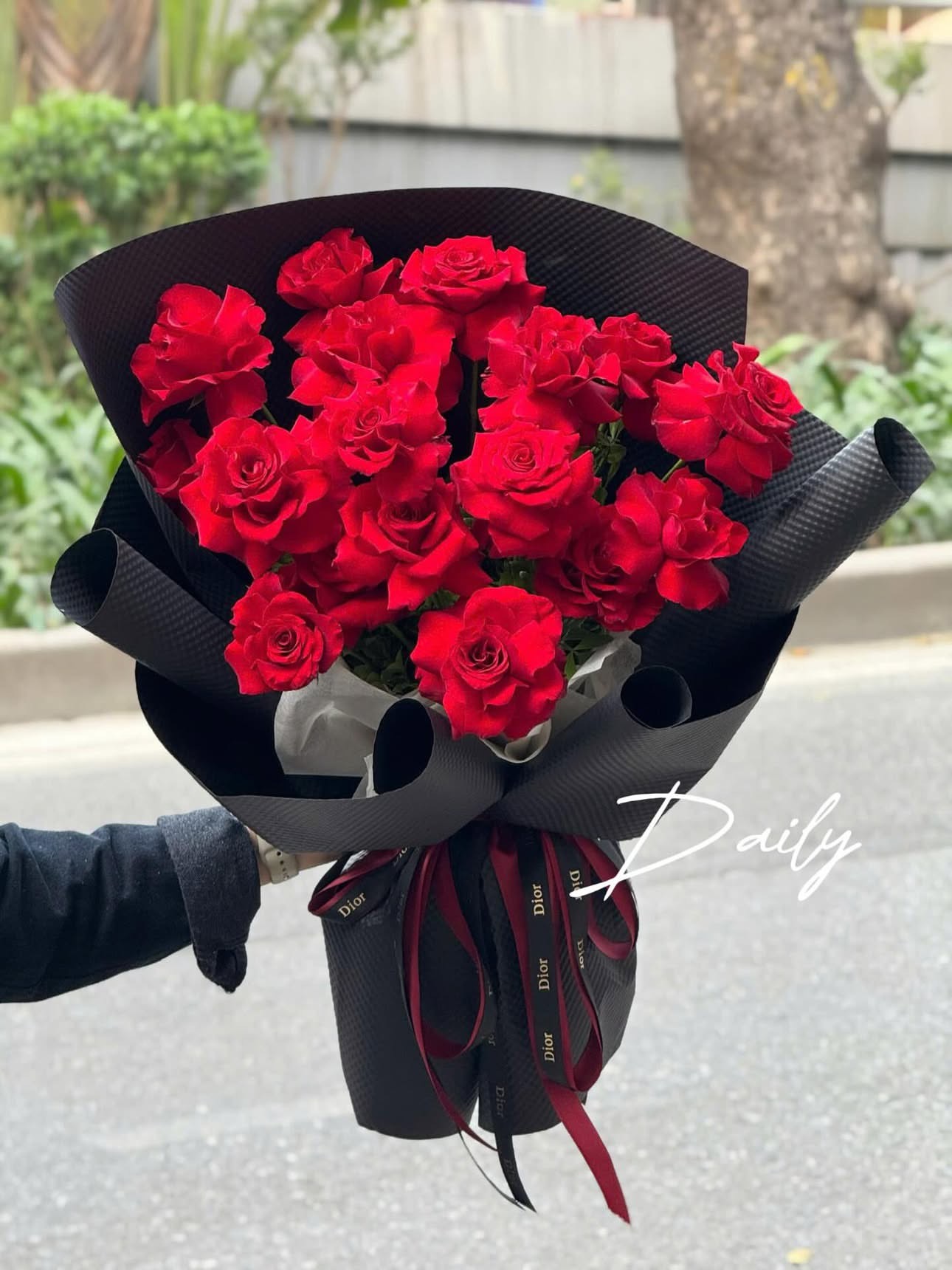 Hồng đỏ kiêu sa