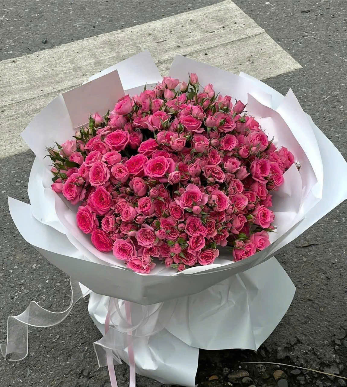 Hồng chùm Sophia rực rỡ 1
