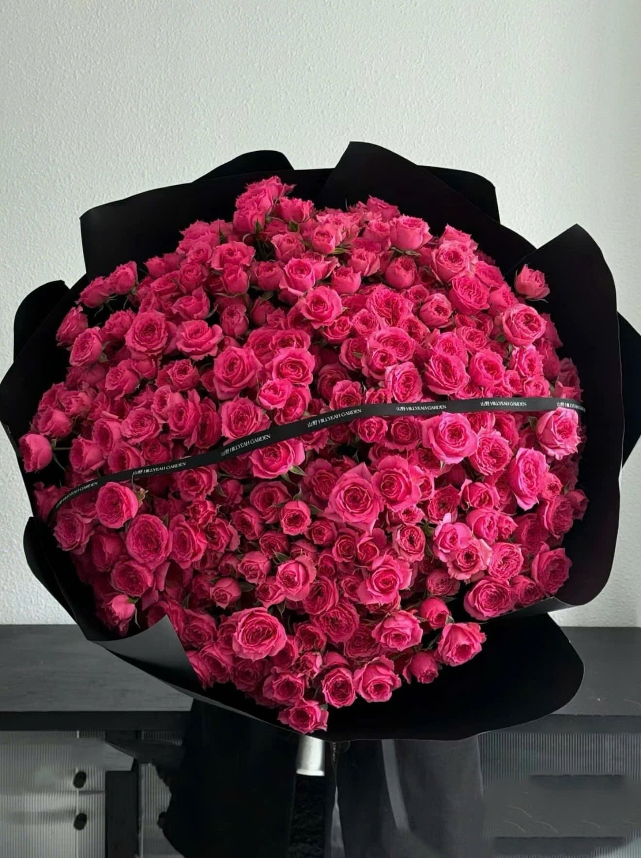 Hồng chùm Sophia rực rỡ 3