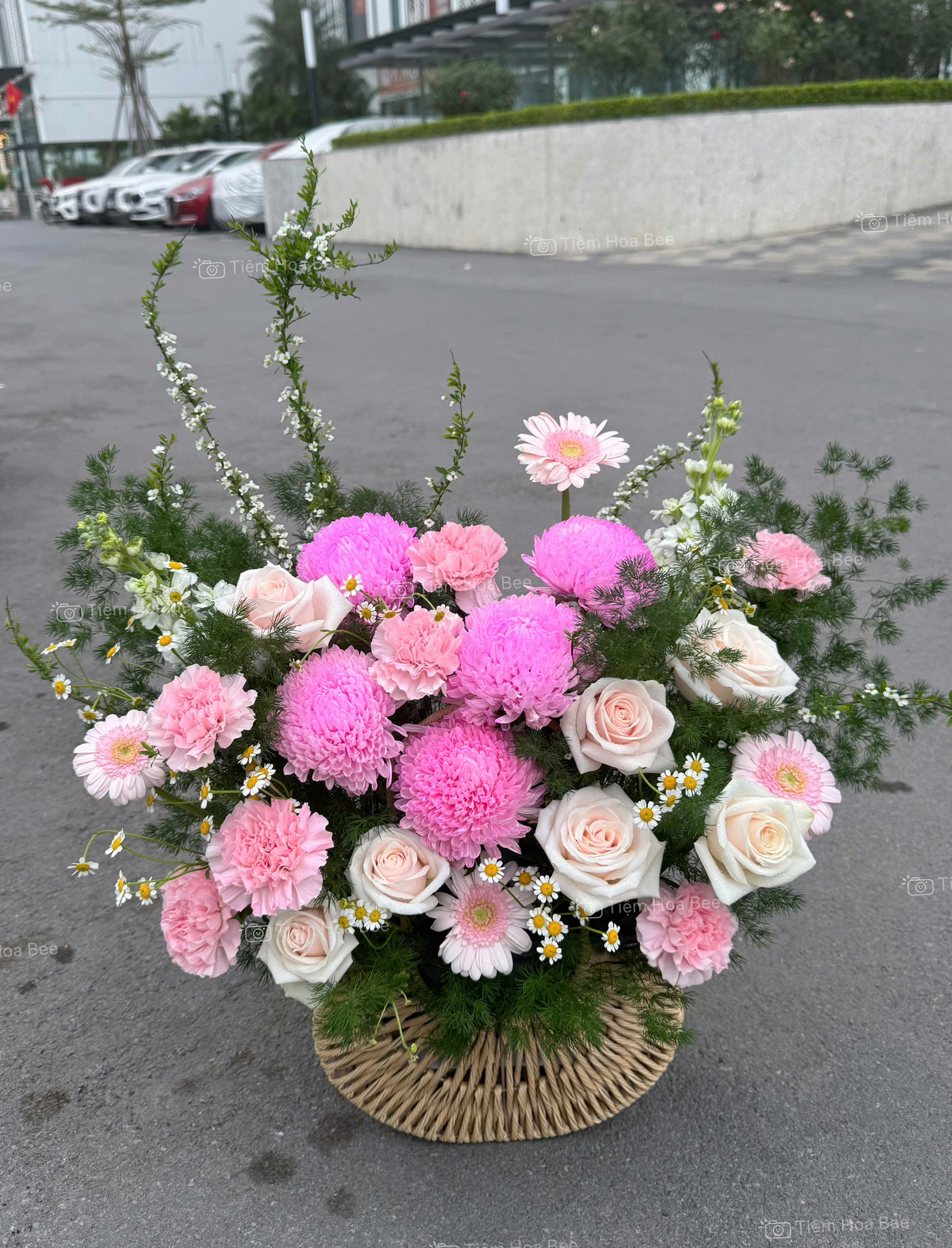 (Giỏ) Vườn xuân