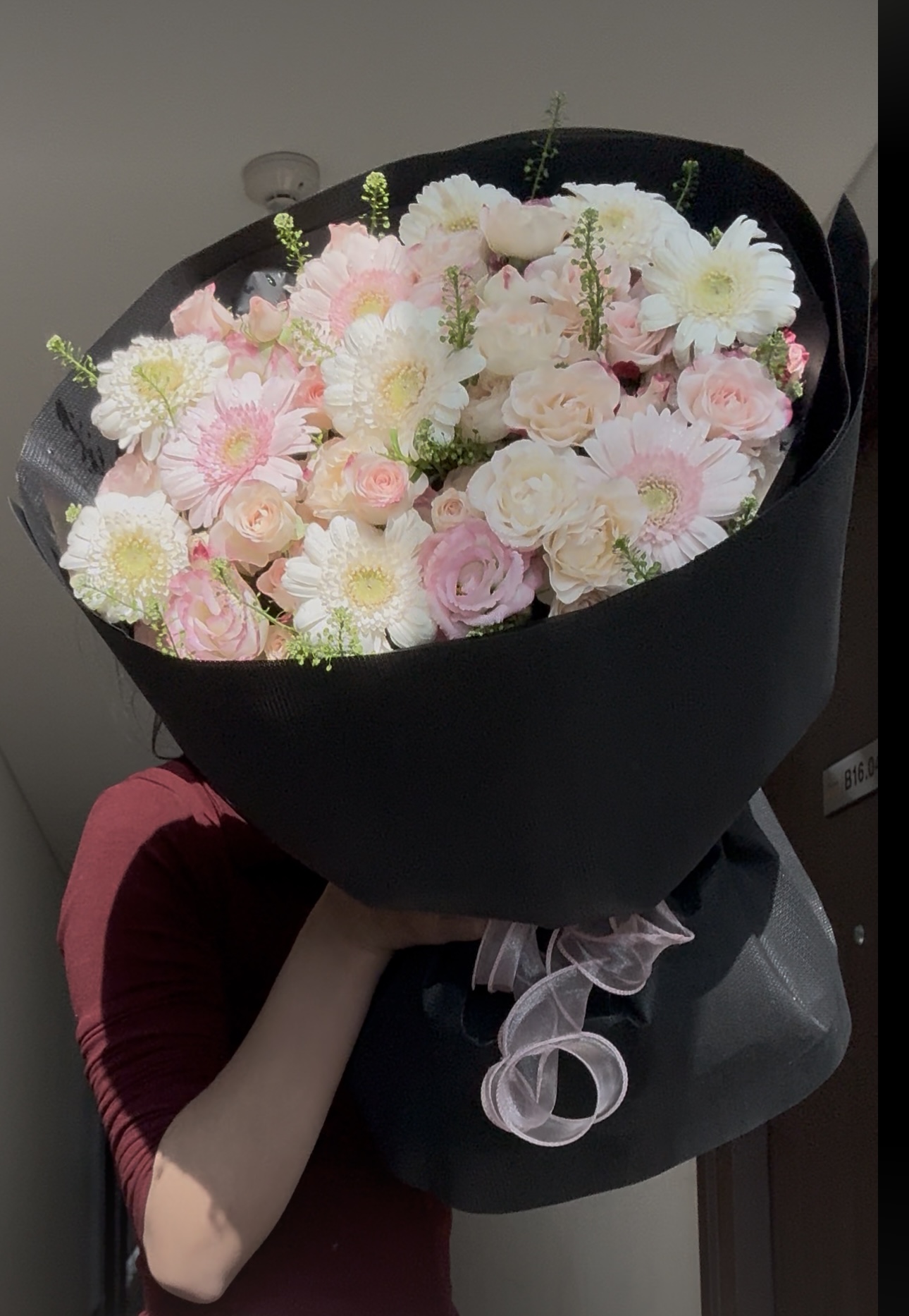 Hồng phấn trong veo