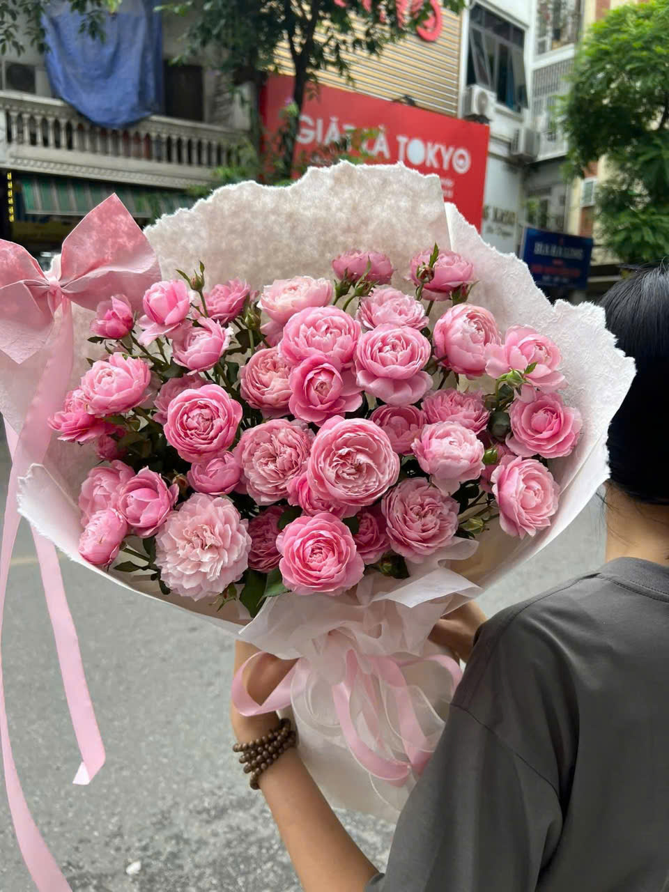 Hồng Plume