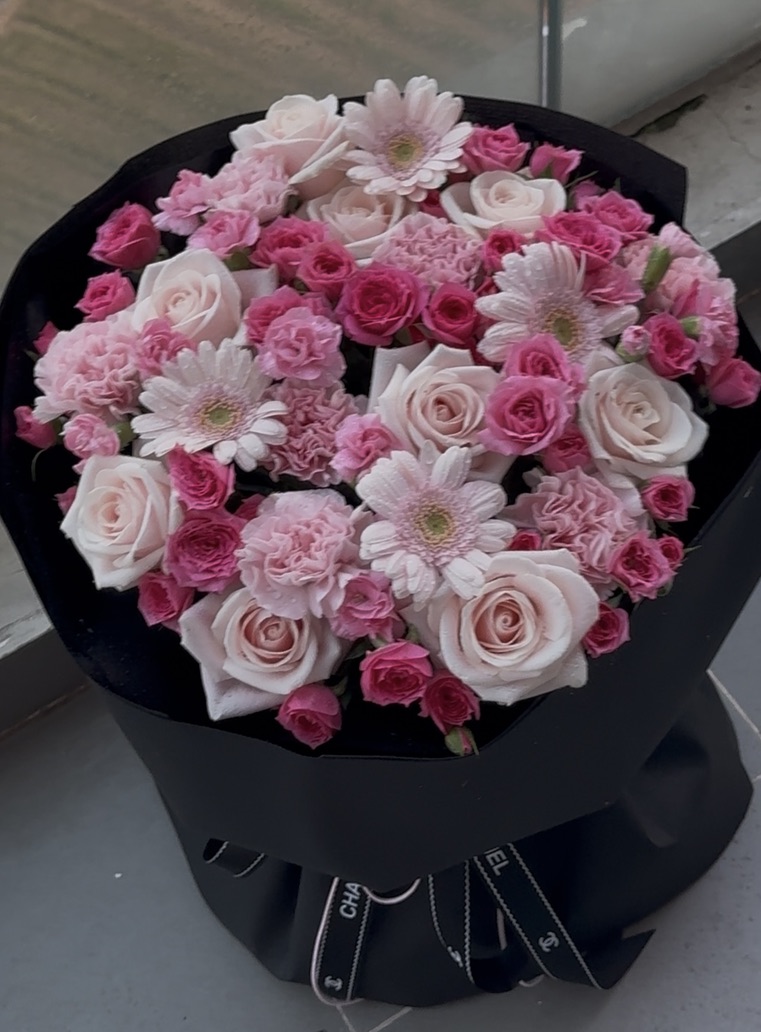 Sophia x hồng pastel