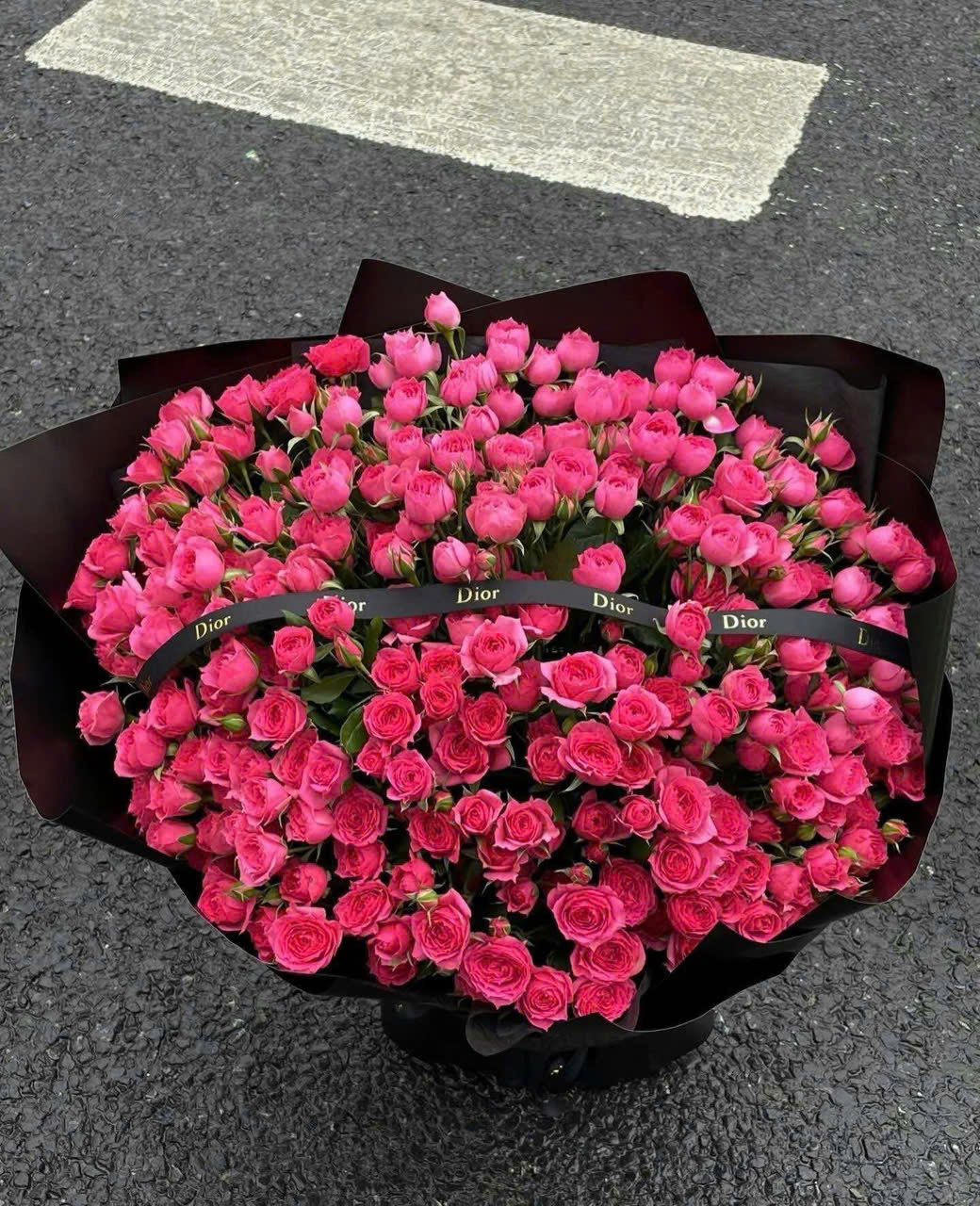Hồng chùm Sophia rực rỡ 1